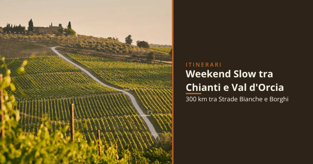 collina toscana con vigneti e strada con casolare