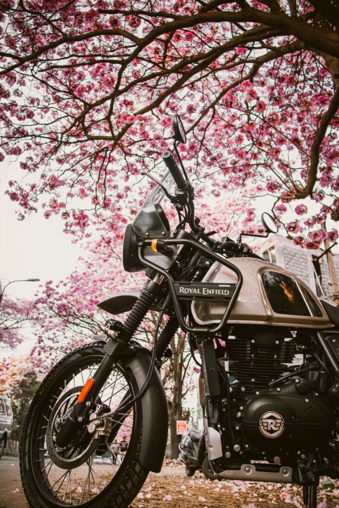 Spring effect — Royal Enfield on a country road in the morning