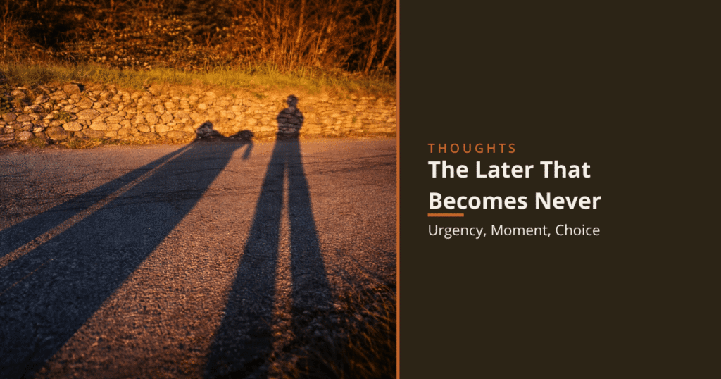 Cover article The Later That Becomes Never — Slow Down Now