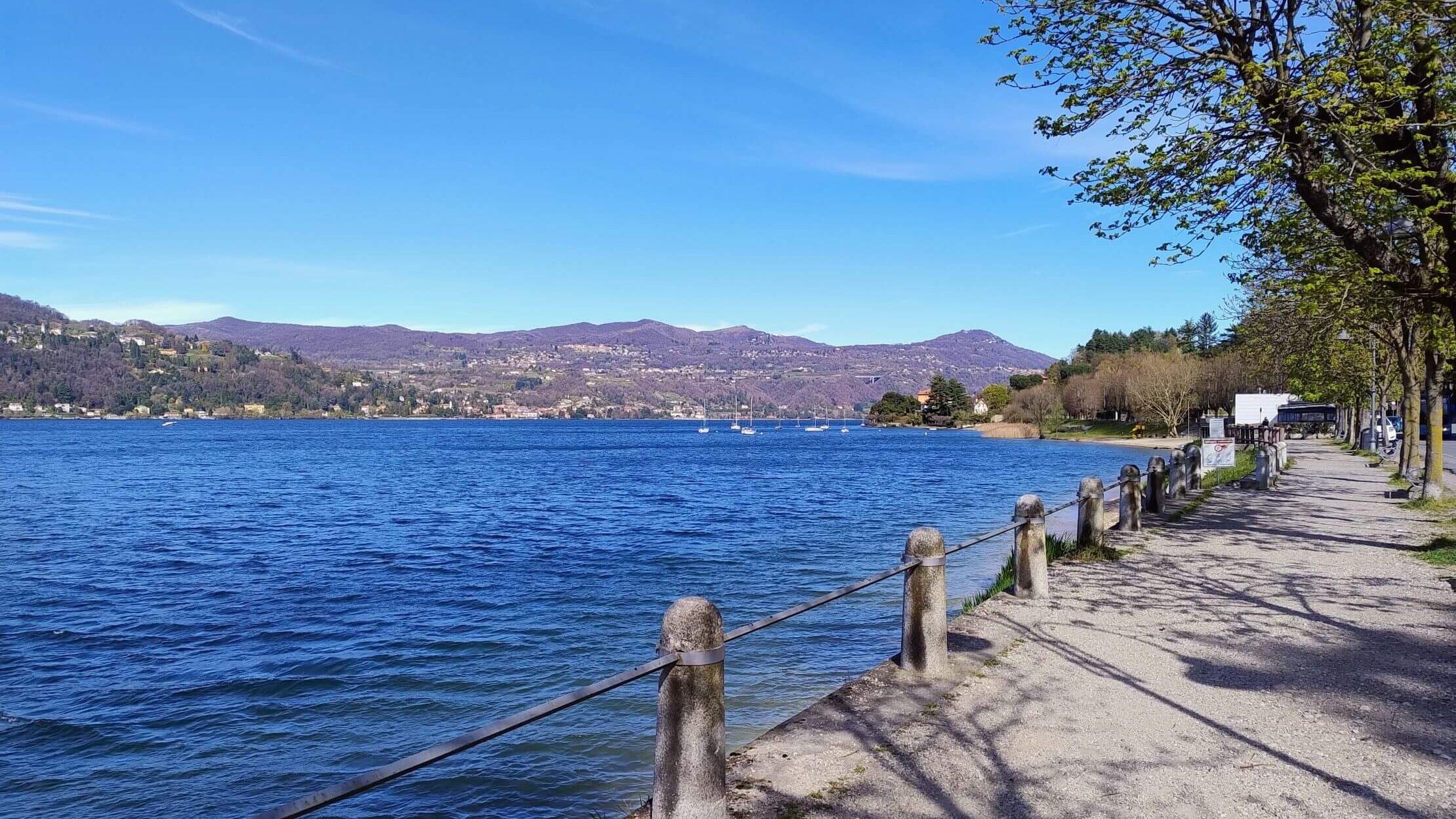 Lungolago di Angera con alberi capitozzati e Rocca di Angera sullo sfondo, Lago Maggiore